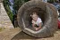 thumb-212-lightboxImage.jpg